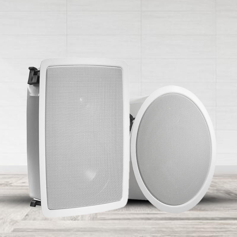 Architectural Speaker